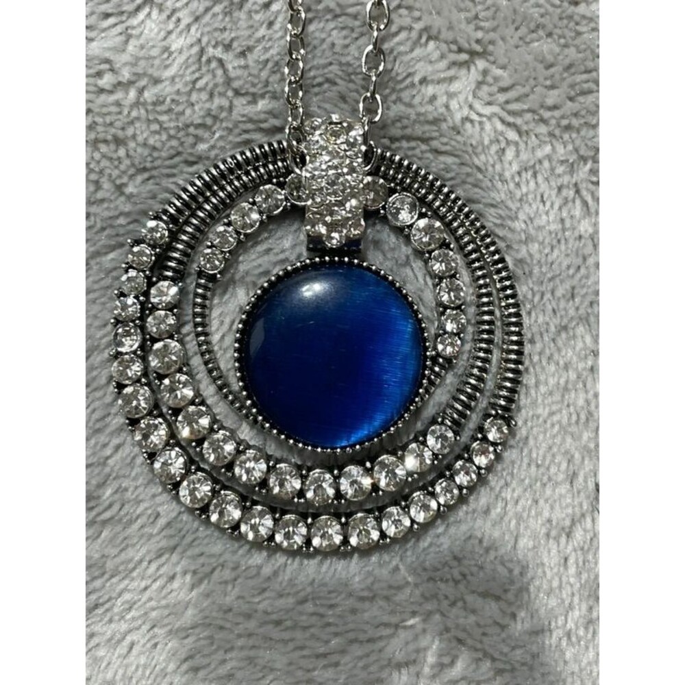 Paparazzi Long Necklace & Earrings